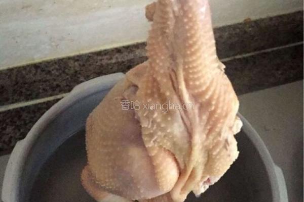 白切鸡的做法图解4