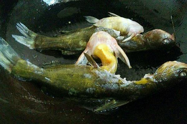 黄刺鱼蛋饼汤的做法图解6