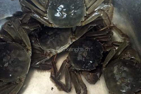 沙锅大闸蟹粥的做法图解1