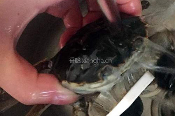 沙锅大闸蟹粥的做法图解2
