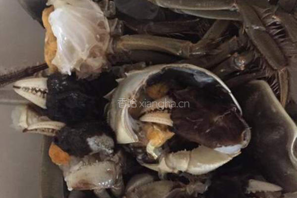 沙锅大闸蟹粥的做法图解3