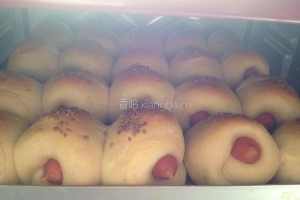 Q肠小面包的做法图解8