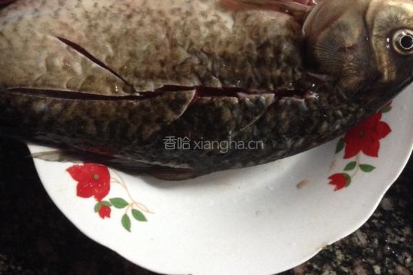 奶汤鲫鱼的做法图解1
