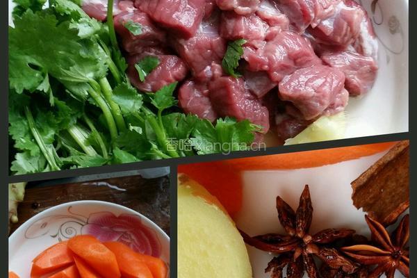 胡萝卜烧牛肉的做法图解1