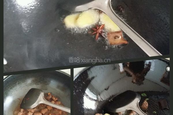 胡萝卜烧牛肉的做法图解3