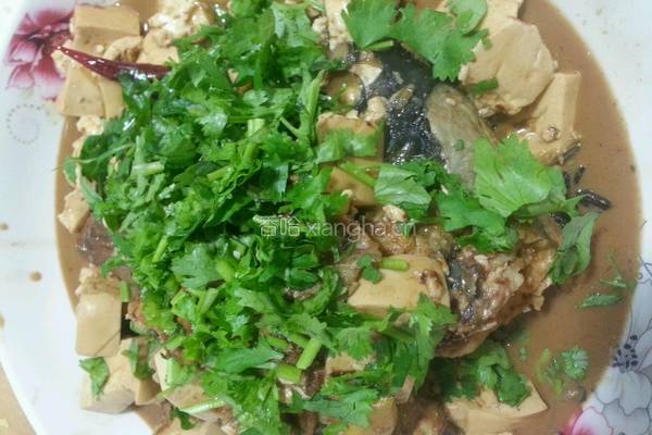 草鱼炖豆腐