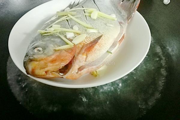 清蒸昌鱼的做法图解5