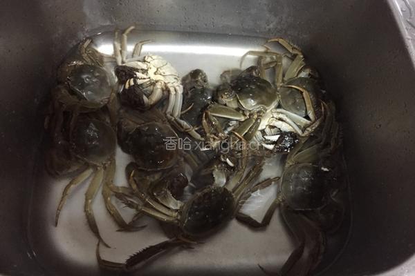 清蒸大闸蟹的做法图解1