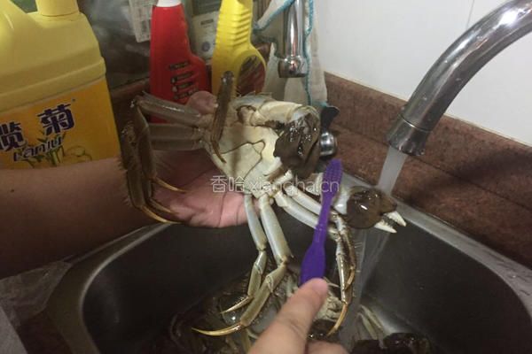 清蒸大闸蟹的做法图解2