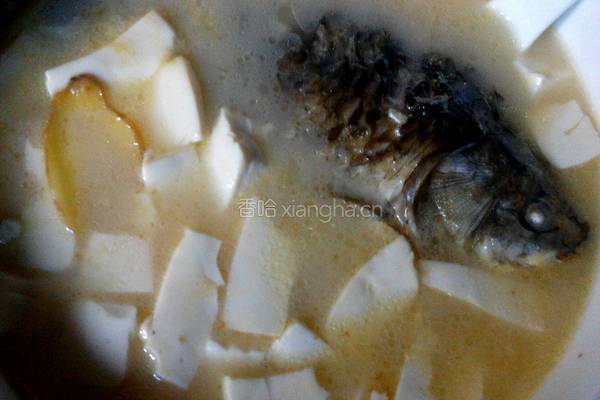 鲫鱼豆腐汤的做法图解6