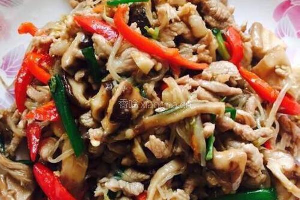 香菇绿豆芽炒肉丝的做法图解8
