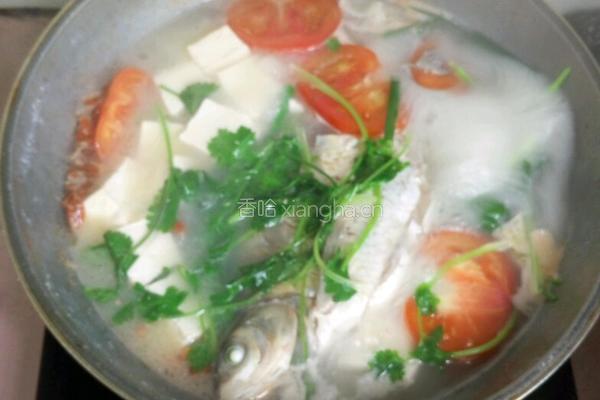 豆腐鱼汤的做法图解7