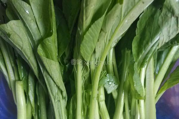 蒜香菜心的做法图解1