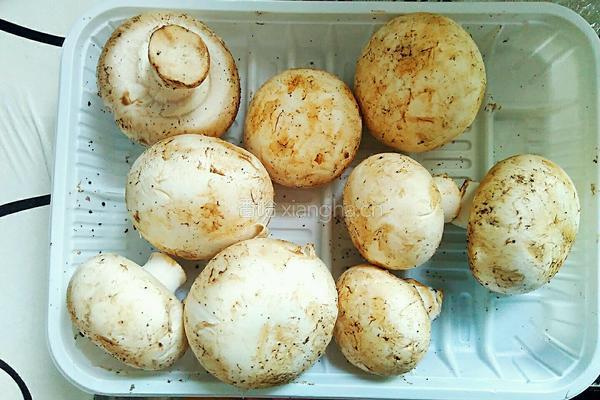 蘑菇炒肉的做法图解1