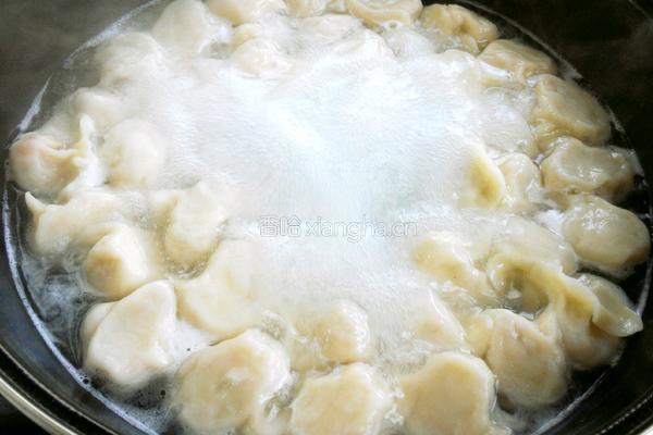 胡萝卜大葱羊肉水饺的做法图解17