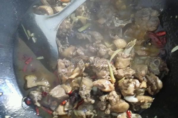 缅甸香草啤酒鸭的做法图解8