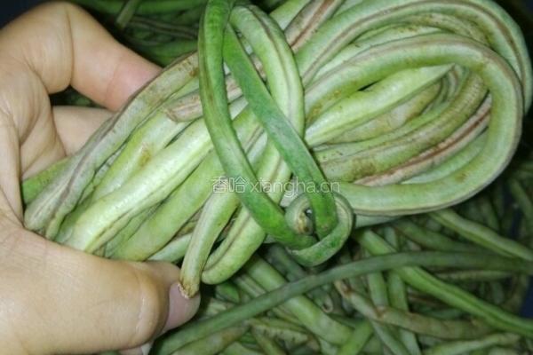 白酒豆角的做法图解4