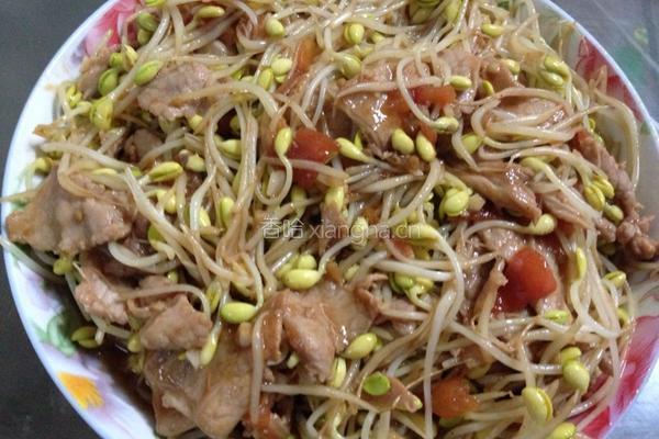 豆芽炒肉片的做法图解5