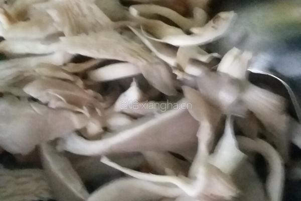平菇炒肉片的做法图解5