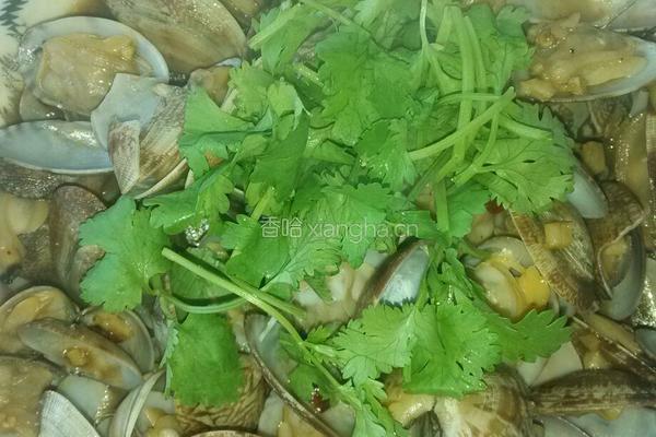 辣炒蛤蜊的做法图解8