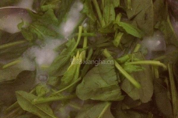 菠菜排骨粥的做法图解7