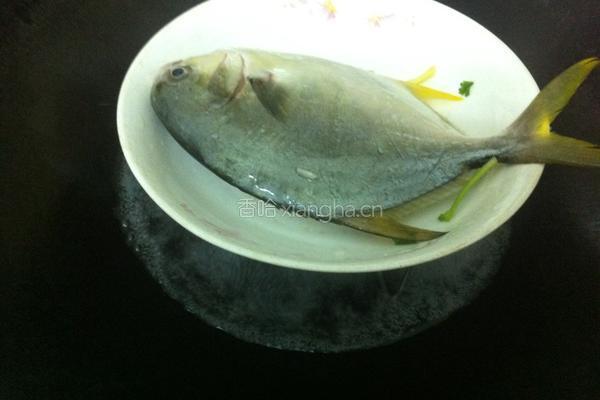 清蒸金枪鱼的做法图解4
