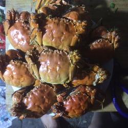 阳澄湖大闸蟹蒸的做法[图]