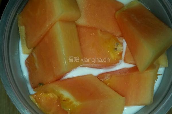 水果酸奶酪的做法图解6
