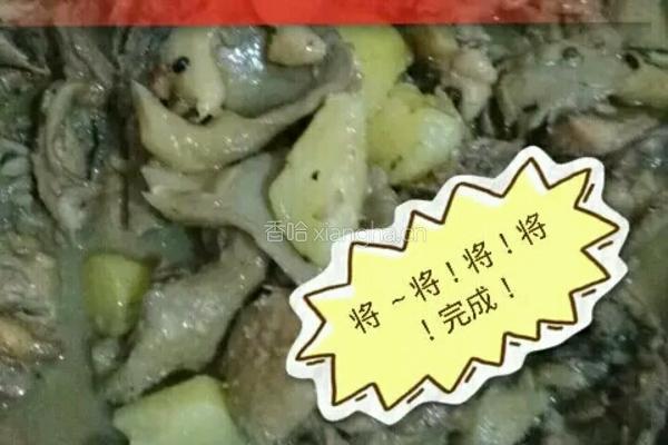 土豆蘑菇炖鸡块的做法图解8