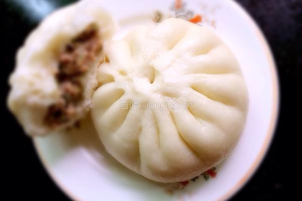 鲜肉包的做法图解19