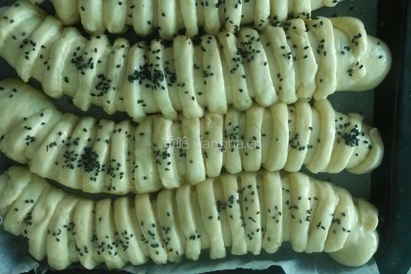 毛毛虫面包的做法图解10
