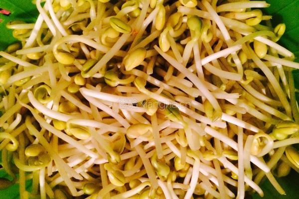 黄豆牙煸粉丝的做法图解1