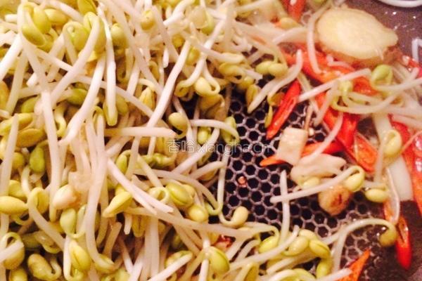 黄豆牙煸粉丝的做法图解4