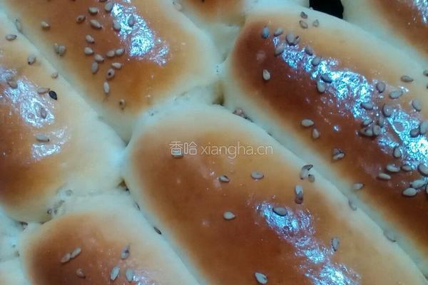 奶排包的做法图解13
