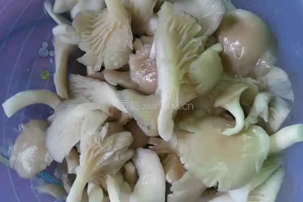 炸蘑菇的做法图解1