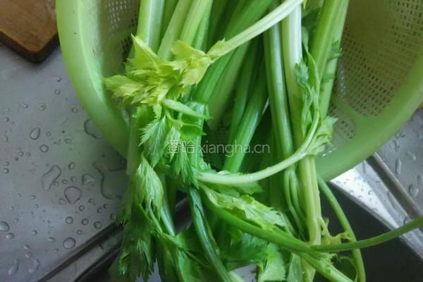芹菜大肉馅饺子的做法图解1
