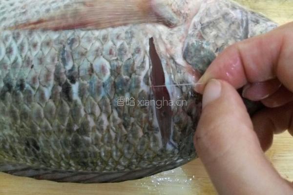 清蒸福寿鱼的做法图解2