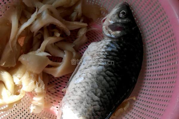 草鱼平菇汤的做法图解1