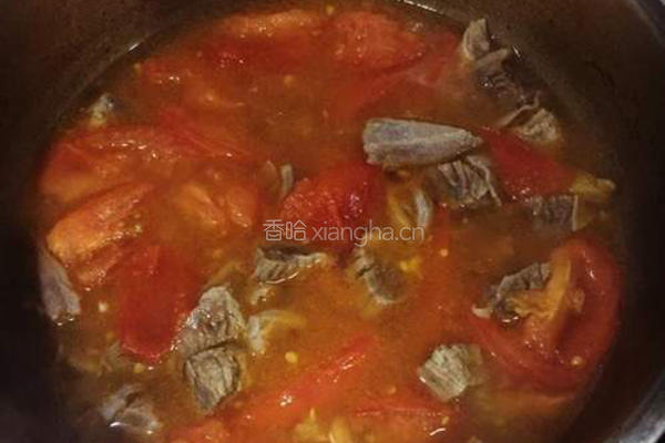 番茄炖牛肉的做法图解5