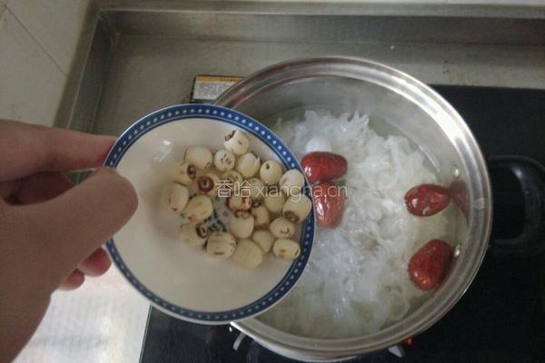 红枣银耳莲子羹的做法图解6