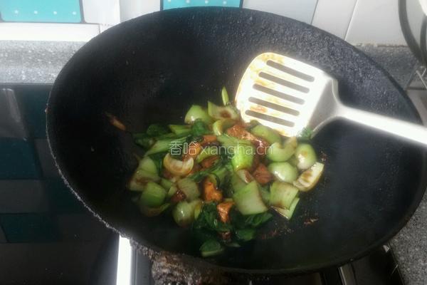 油菜烧豆腐的做法图解5