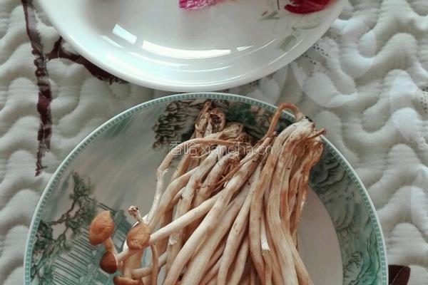 洋葱炒茶树菇的做法图解1