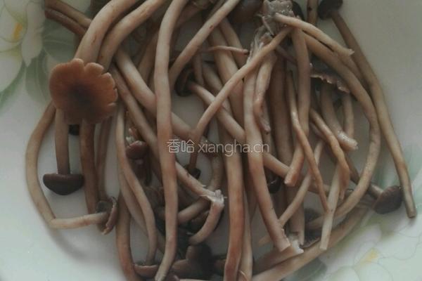 洋葱炒茶树菇的做法图解4