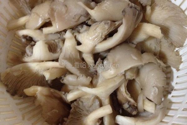 酥炸五香平菇的做法图解1