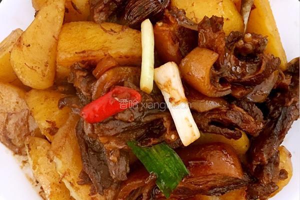 狗肉炆土豆的做法图解9