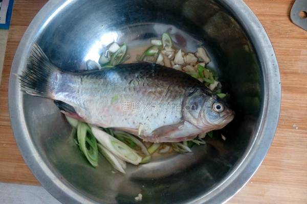 鲫鱼豆腐汤的做法图解4