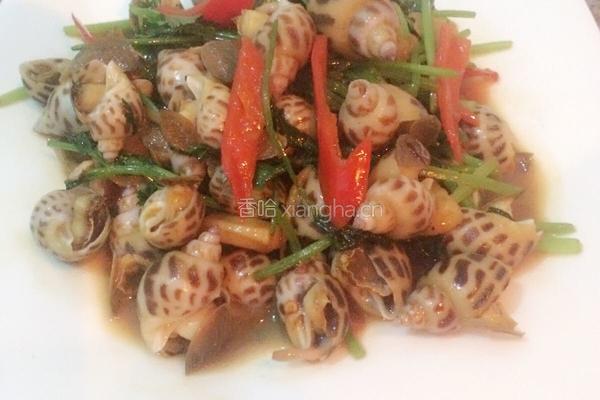 爆炒花螺的做法图解10