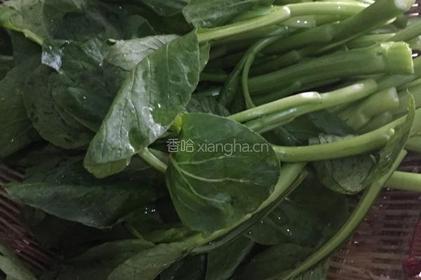 白灼芥蓝的做法图解1