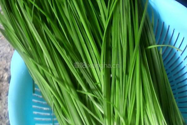 猪肉韭菜饺子的做法图解2