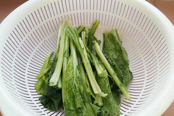 蒜蓉芥菜的做法图解4